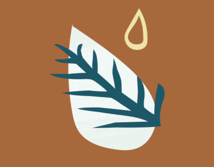 Illustration of pine needles and a water drop