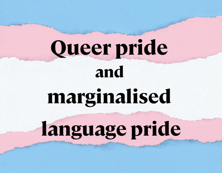 A blue, pink and white graphic styled after the trans pride flag with text "Queer pride and marginalised language pride"