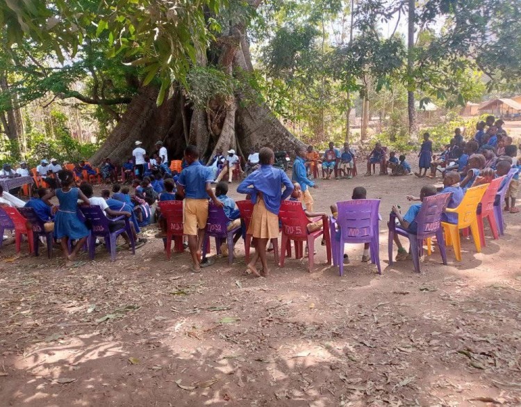 A group of people gathered around a huge tree in Sierra Leone
