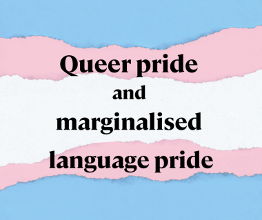 A blue, pink and white graphic styled after the trans pride flag with text "Queer pride and marginalised language pride"