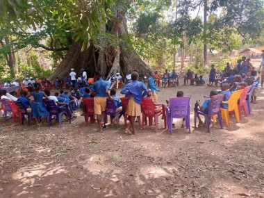A group of people gathered around a huge tree in Sierra Leone