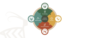 A graphic showing four stages (seasons) of language planning: Spring (pre-planning), summer (planning), autumn (pre-implementation), and winter (implementation). 