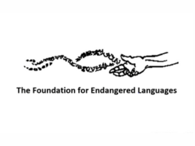 FEL logo: a hand with a stream of text coming from it in a double helix