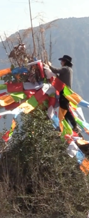 A young Minyag man hangs Tibetan prayer flags at the top of a tree, with mountains in the background. 