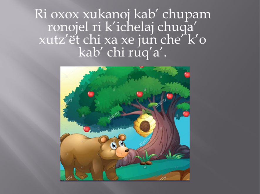 A cartoon of a bear in a forest, with Kaqchikel text above the cartoon.